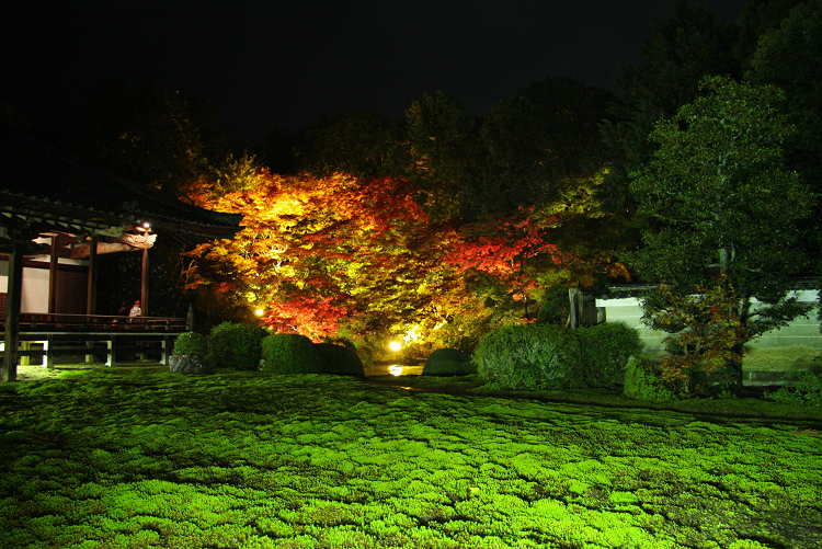 紅葉の醍醐 －随心院－ _b0169330_8234569.jpg