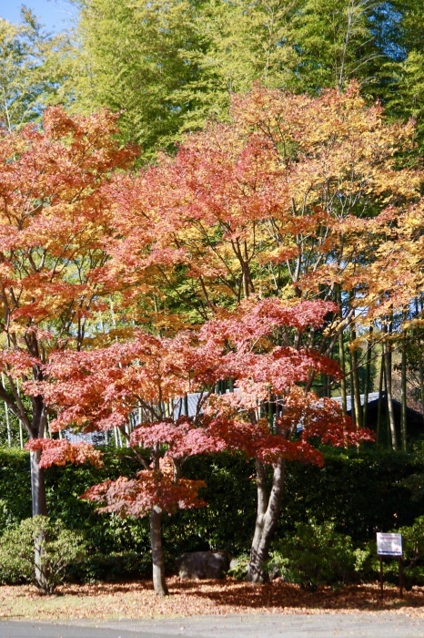 f0348831_00112488.jpg