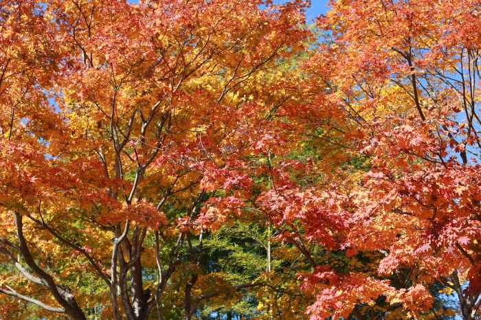f0348831_00112648.jpg