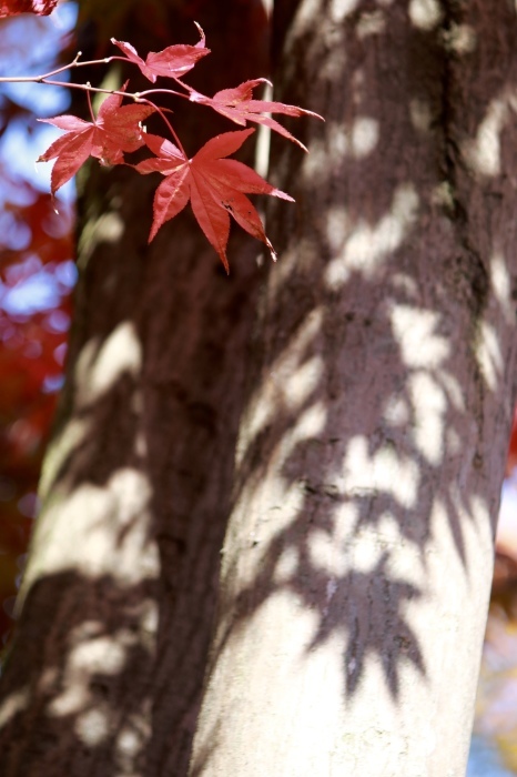f0348831_00115207.jpg