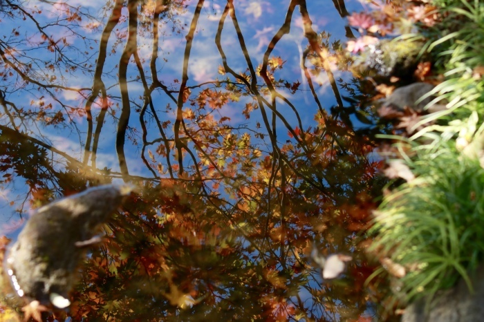 f0348831_00122844.jpg
