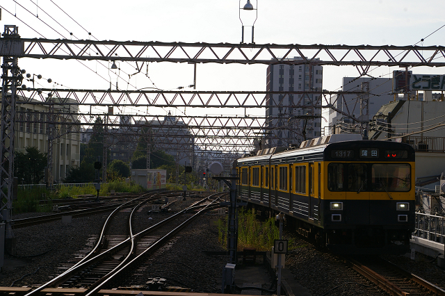 東急池上線1日フリー乗車券_b0283432_01105805.jpg