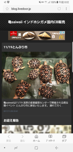 c0362635_10263015.png