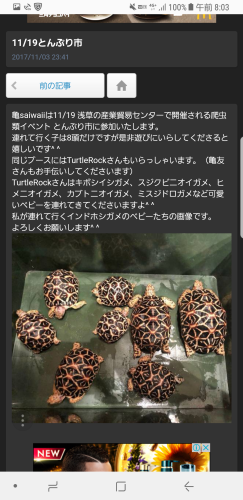 c0362635_10263617.png