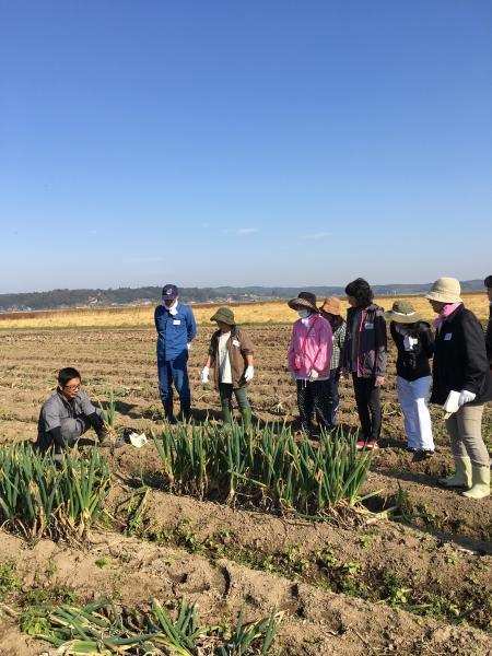 ー食育フェスー①誰かに話したくなる「ネギ学」終了報告_b0297136_18120912.jpeg