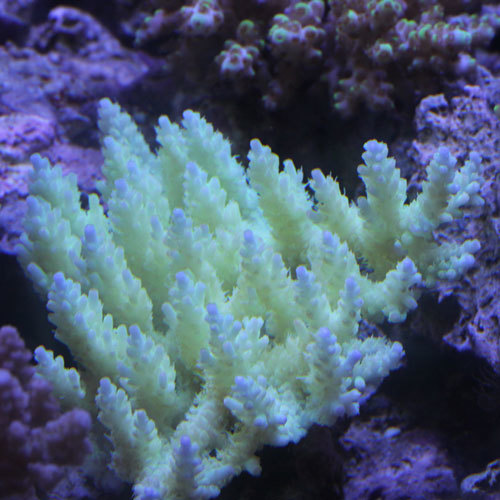 d0221436_23400830.jpg