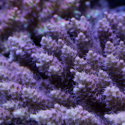 d0221436_23401880.jpg
