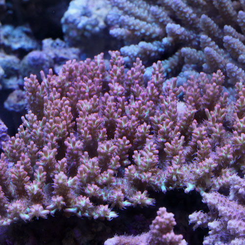 d0221436_23403603.jpg