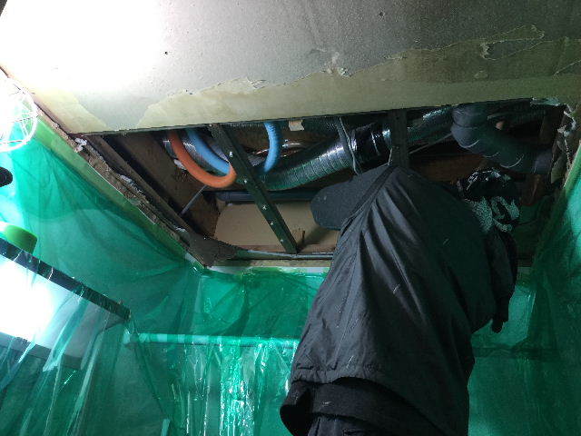 f0031037_20323779.jpg