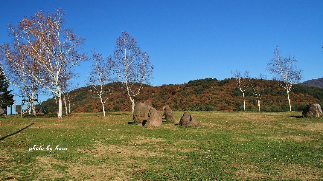 f0297537_11103313.jpg