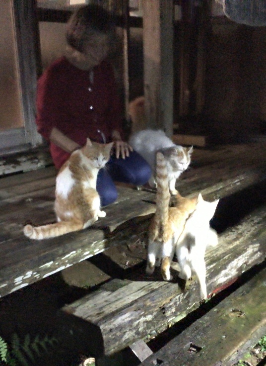 _b0060239_11444958.jpeg