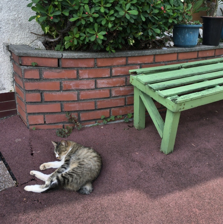 _b0060239_11451543.jpeg