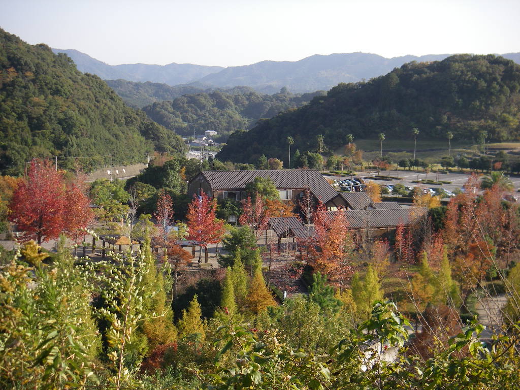 e0060041_7244212.jpg