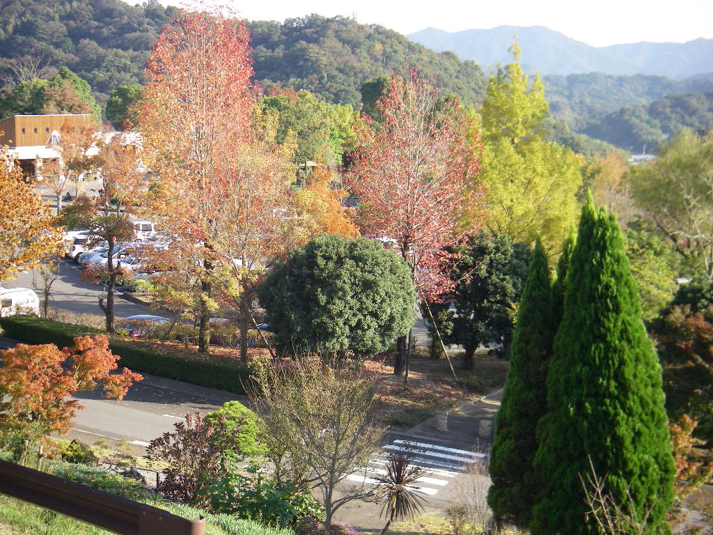 e0060041_7251271.jpg