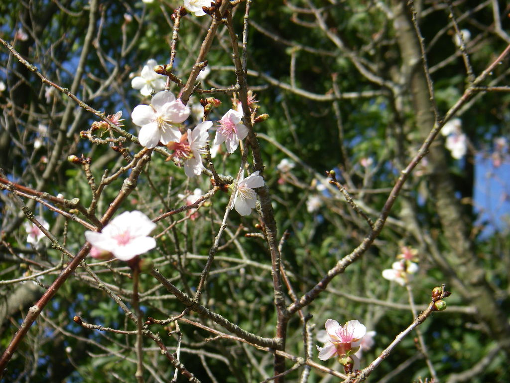 e0060041_7252661.jpg