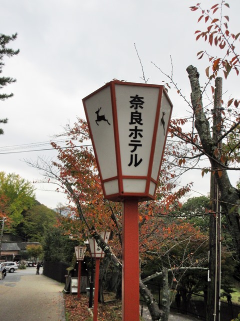 奈良17 奈良ホテル 花菊 でランチ お散歩アルバム 秋の訪れ 奈良17 奈良ホテル 花菊 でランチ お散歩アルバム 秋の訪れ