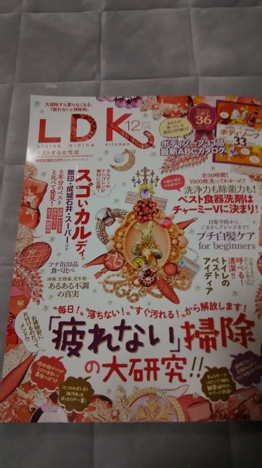 LDK_b0366649_19462133.jpg