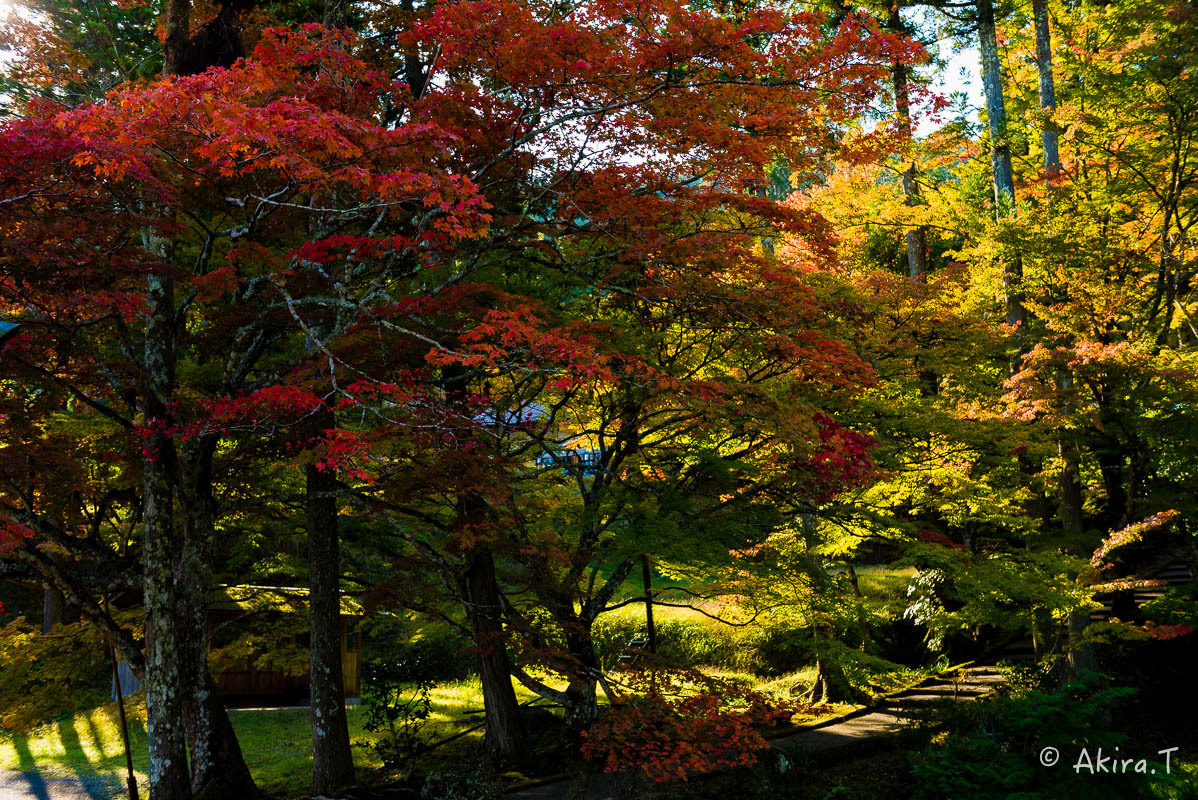 京都の紅葉 2017 〜1〜_f0152550_21281953.jpg