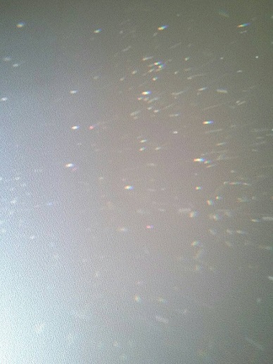 b0287752_17024995.jpg