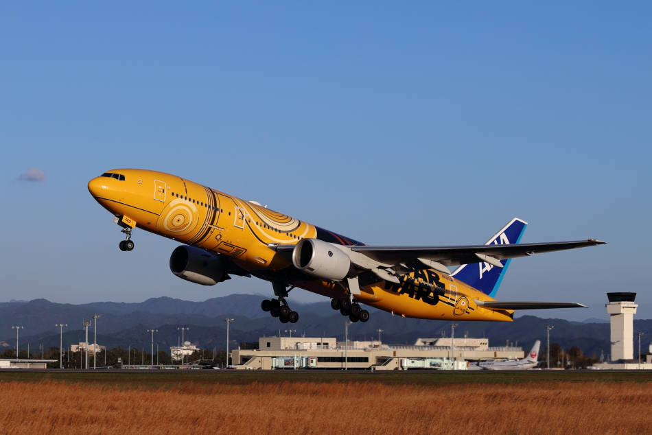 Ja743a 77 281 C3 Po Ana Jet 高知空港 撮影仲間の井戸端会議
