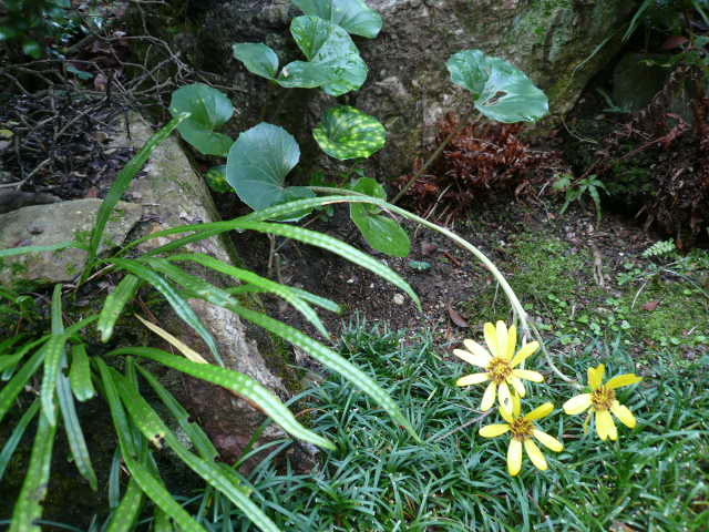 c0043055_11402649.jpg