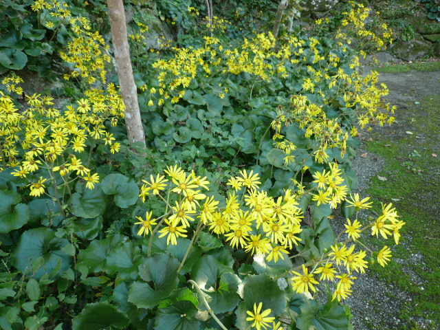 c0043055_16252777.jpg