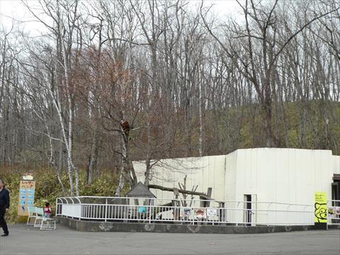 b0338756_16484496.jpg