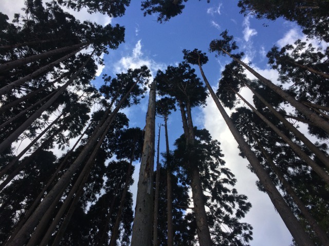 f0228958_15352806.jpg