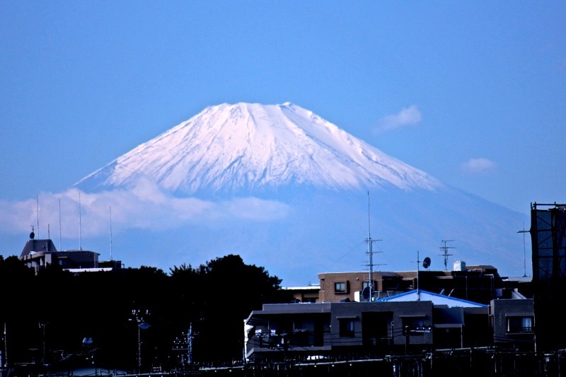 a0248459_20160500.jpg