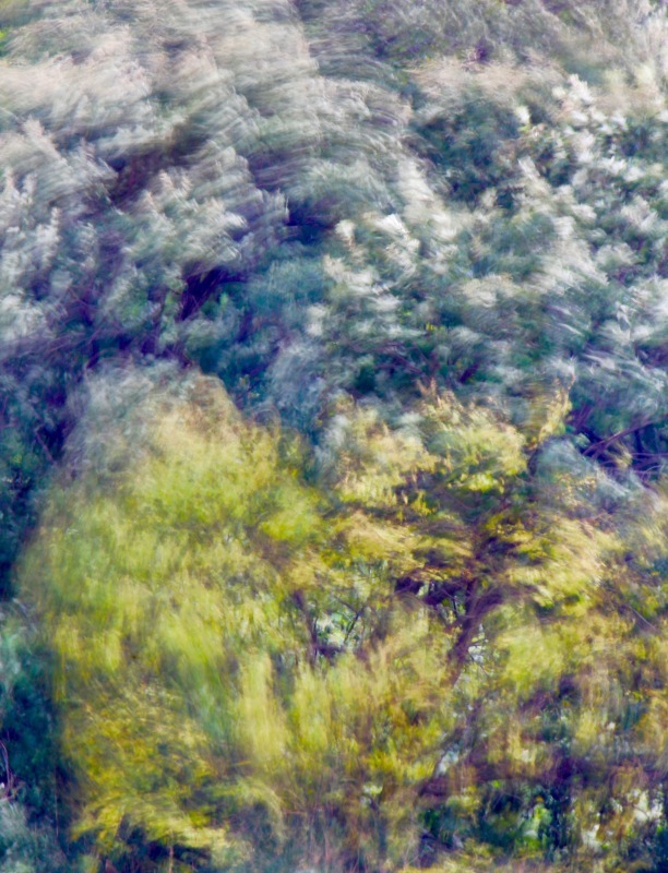 a0248459_20174127.jpg