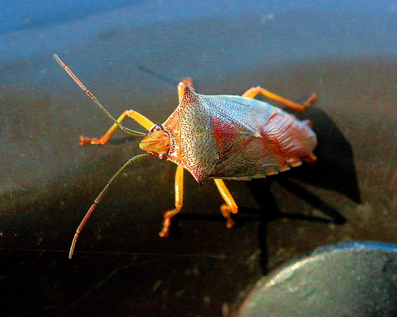 c0305565_18151262.jpg