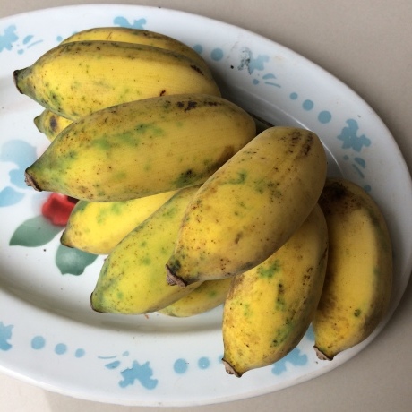 台湾の果物 またバナナの話（旦蕉と芭蕉） : そこはかノート ー台湾