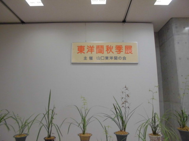 f0318967_21552889.jpg
