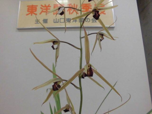 f0318967_21555013.jpg