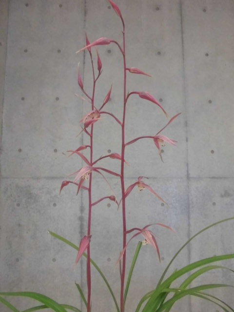 f0318967_22024389.jpg