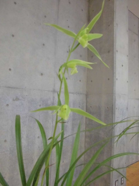 f0318967_22031126.jpg