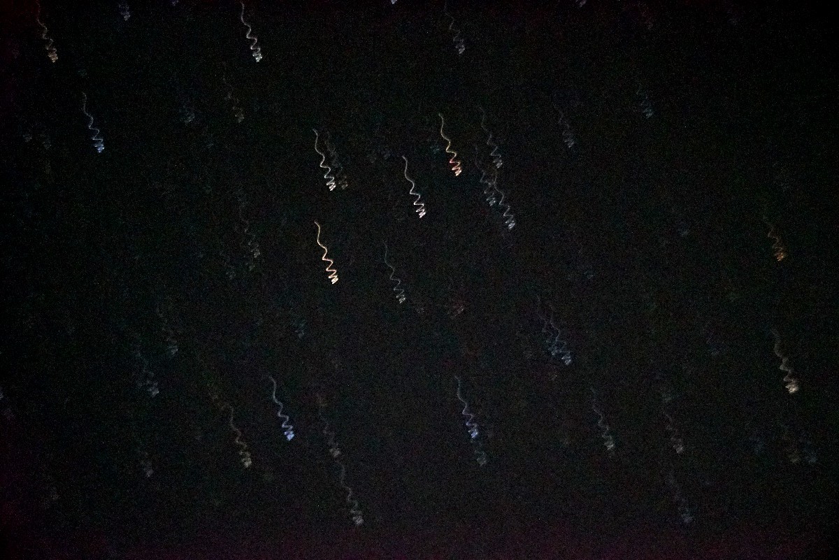 a0095470_22353078.jpg