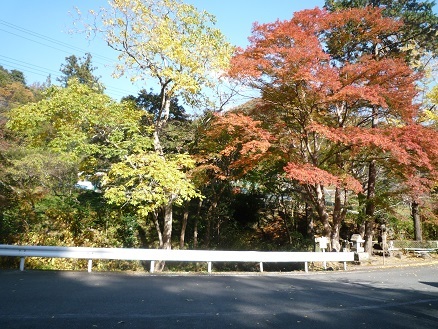 c0273271_10580682.jpg