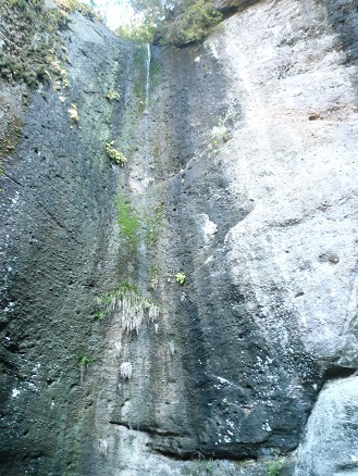 c0273271_11065195.jpg