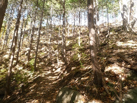 c0273271_11142645.jpg