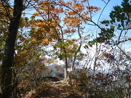 c0273271_11153330.jpg