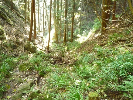 c0273271_11254202.jpg