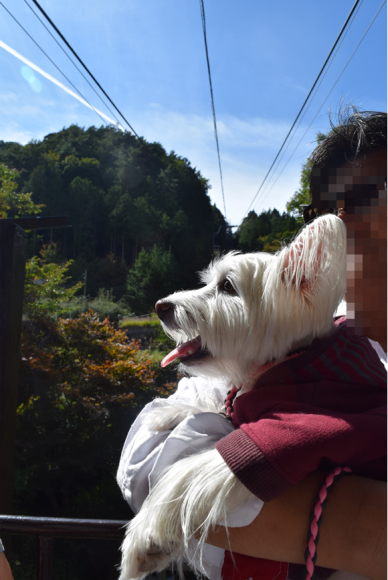 b0242873_13403432.png