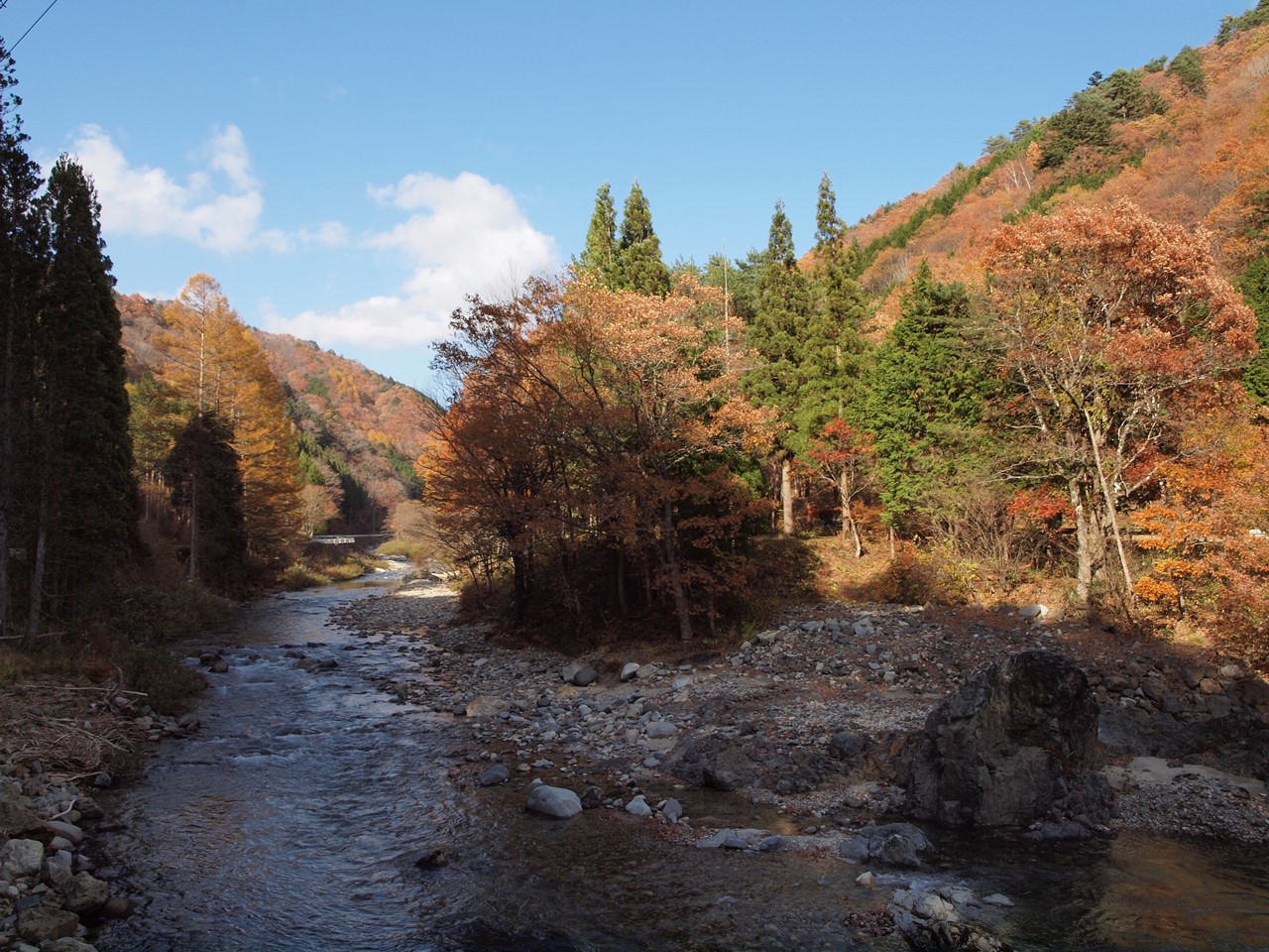 d0054276_19415437.jpg