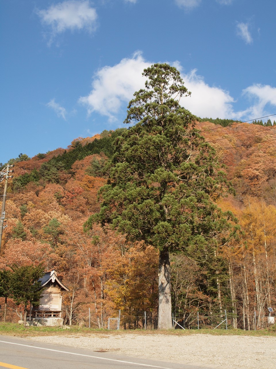 d0054276_1943070.jpg