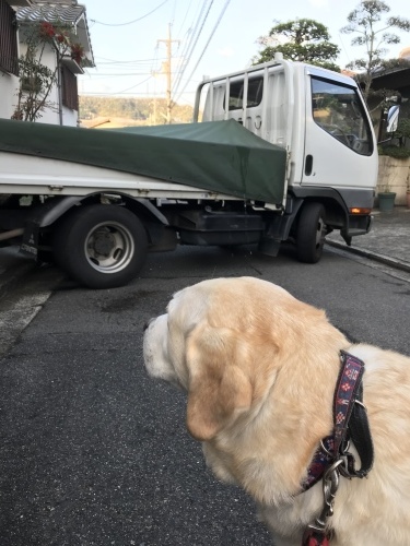 f0315081_12300260.jpeg