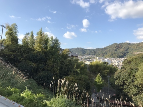 f0315081_12361654.jpeg