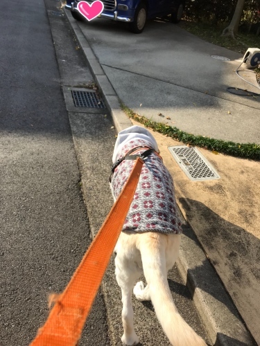 f0315081_12422902.jpeg
