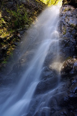 c0324983_00405735.jpg