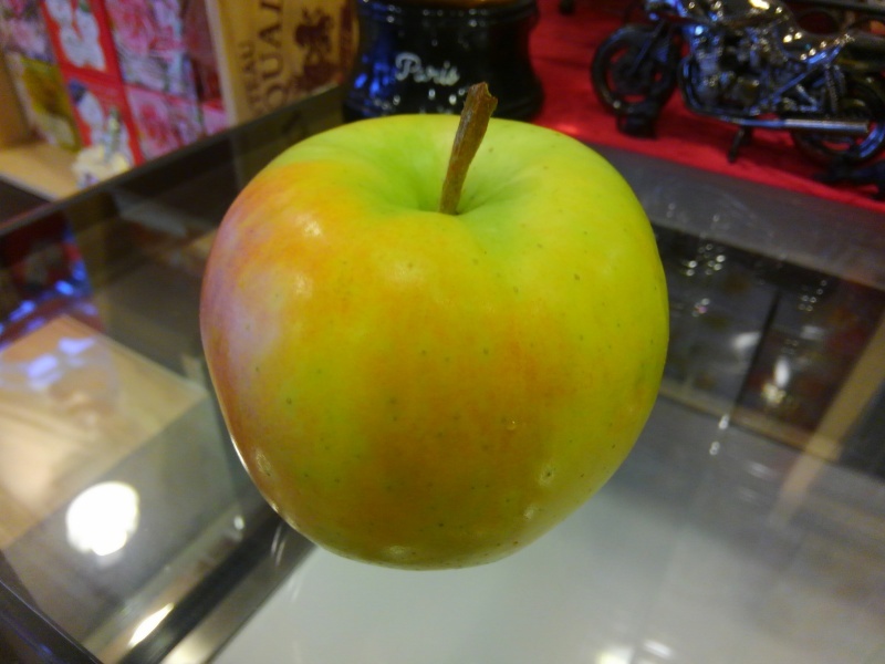 b0278384_12421736.jpg